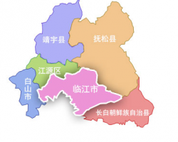 临江市人民政府