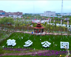 通榆县人民政府