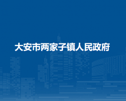 大安市两家子镇人民政府