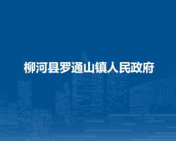 柳河县罗通山镇人民政府