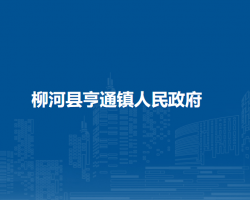 柳河县亨通镇人民政府