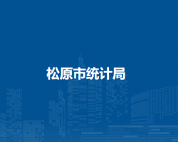 松原市统计局
