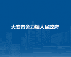 大安市舍力镇人民政府