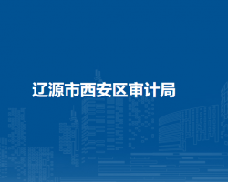 辽源市西安区审计局