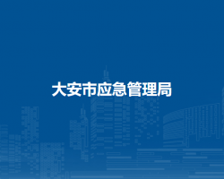 大安市应急管理局
