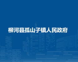 柳河县孤山子镇人民政府