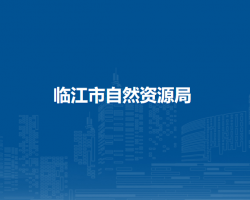 临江市自然资源局