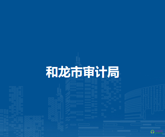和龙市审计局
