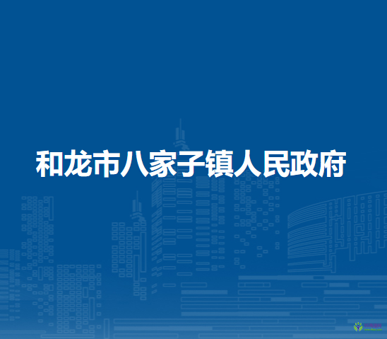 和龙市八家子镇人民政府