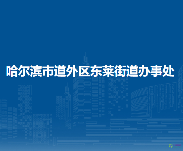 哈尔滨市道外区东莱街道办事处