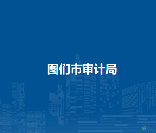 图们市审计局