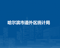 哈尔滨市道外区统计局