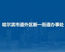 哈尔滨市道外区新一街道办事处