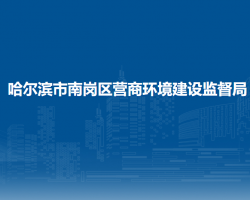 哈尔滨市南岗区营商环境建设监督局