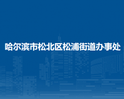 哈尔滨市松北区松浦街道办事处