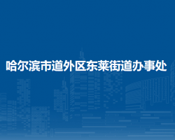 哈尔滨市道外区东莱街道办事处