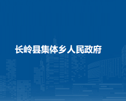 长岭县集体乡人民政府