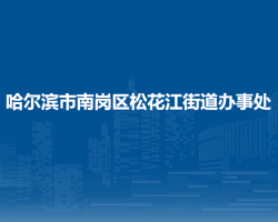 哈尔滨市南岗区松花江街道办事处