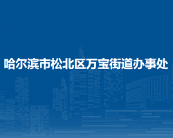 哈尔滨市松北区万宝街道办事处