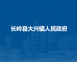 长岭县大兴镇人民政府