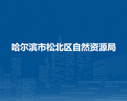 哈尔滨市松北区自然资源局