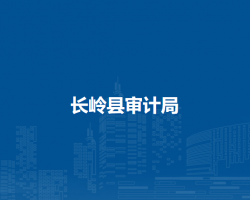 长岭县审计局