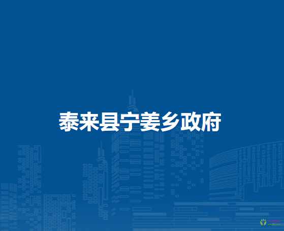 泰来县宁姜乡政府