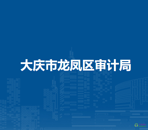 大庆市龙凤区审计局