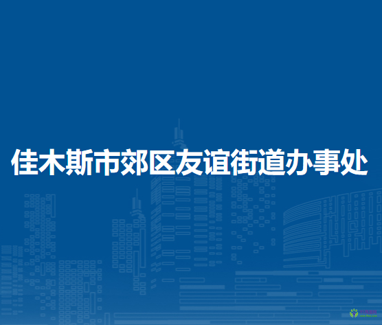 佳木斯市郊区友谊街道办事处
