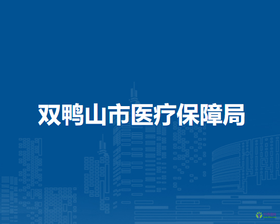 双鸭山市医疗保障局