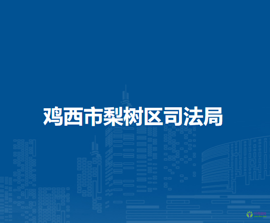 鸡西市梨树区司法局
