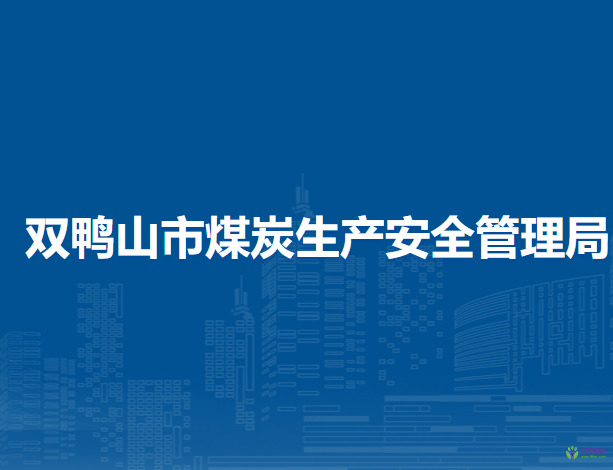 双鸭山市煤炭生产安全管理局