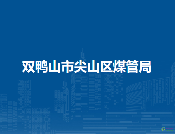 双鸭山市尖山区煤炭生产安全管理局