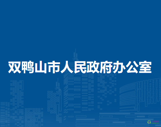 双鸭山市人民政府办公室