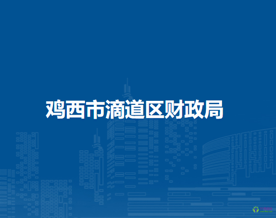 鸡西市滴道区财政局