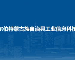 杜尔伯特蒙古族自治县工业