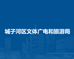 鸡西市城子河区文体广电和旅游局