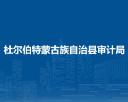 杜尔伯特蒙古族自治县审计