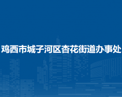 鸡西市城子河区杏花街道办事处