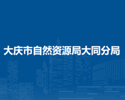 大庆市自然资源局大同分局