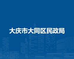 大庆市大同区民政局