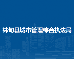 林甸县城市管理综合执法局