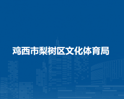 鸡西市梨树区文化体育局