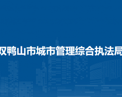 双鸭山市城市管理综合执法局