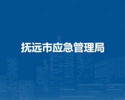 抚远市应急管理局