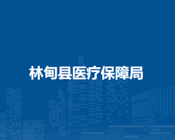 林甸县医疗保障局