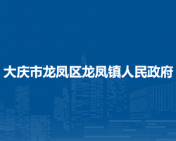 大庆市龙凤区龙凤镇人民政府