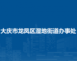 大庆市龙凤区湿地街道办事处
