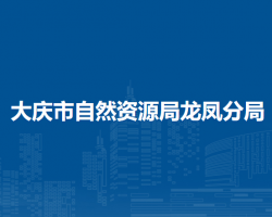 大庆市自然资源局龙凤分局