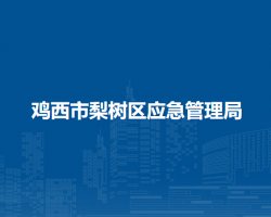 鸡西市梨树区应急管理局